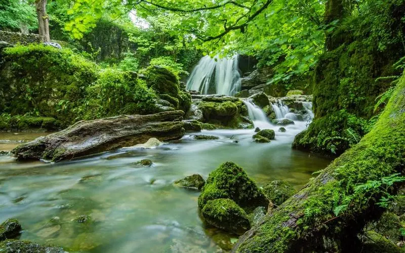 智能系统高质量信息化